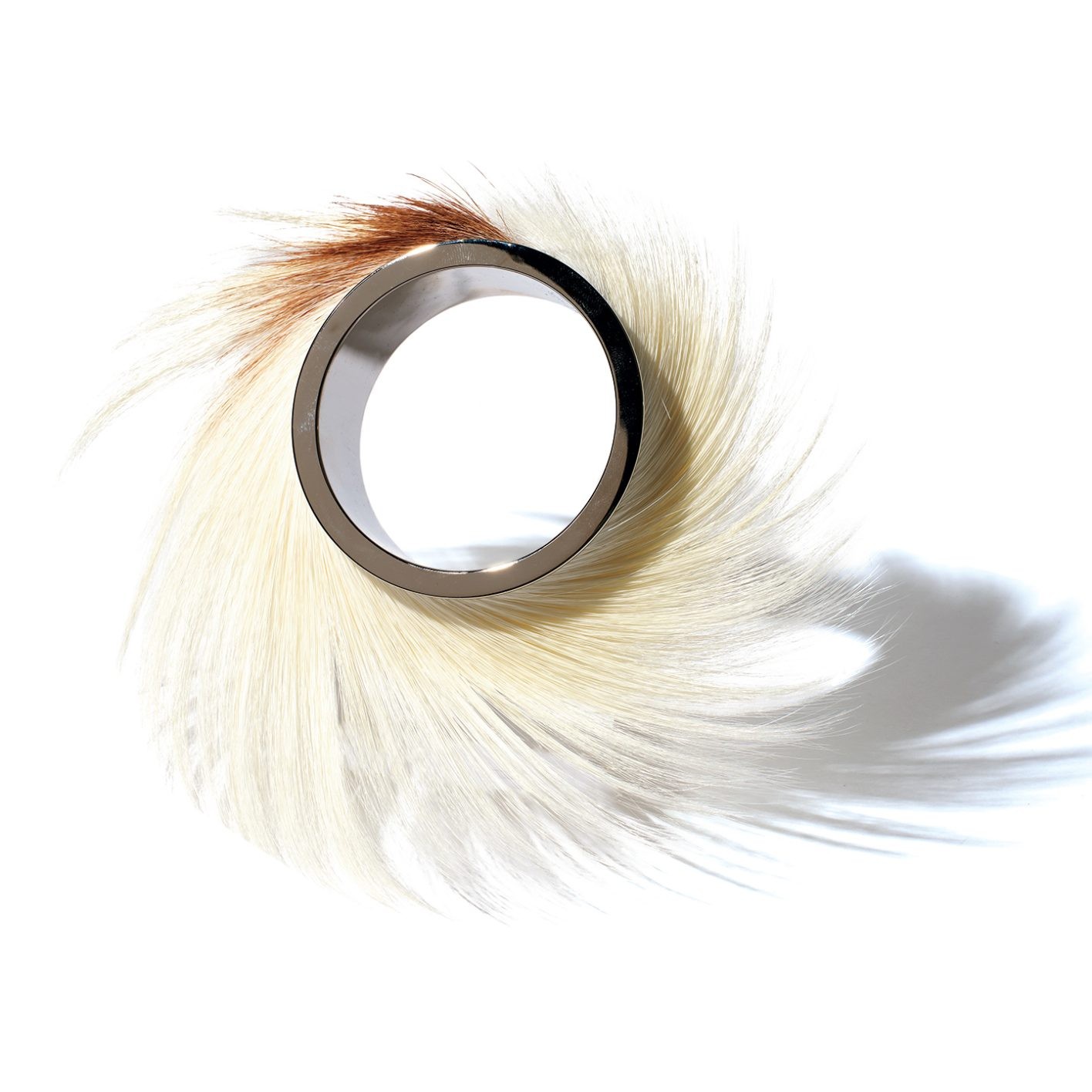 アライア - Slide:8