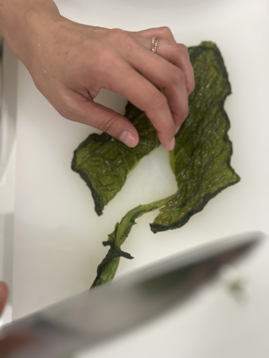 めはりのこんこ添え - Slide:1