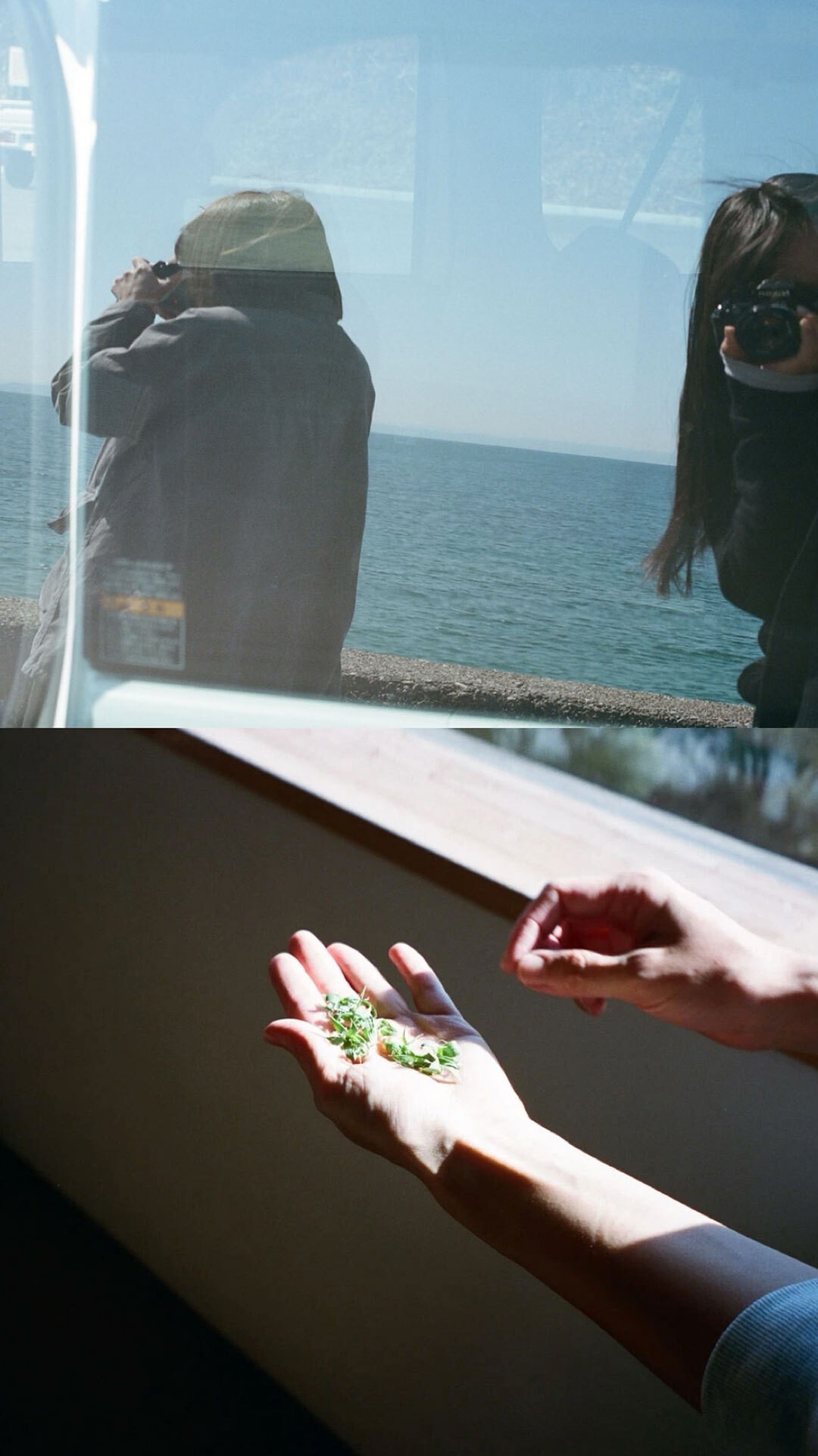 3月の淡路島、写真日記