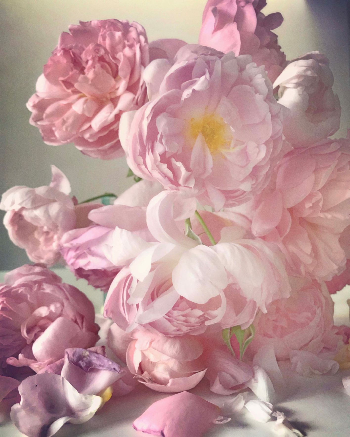 Nick Knightの作品「Sunday 6th November, 2016by Nick Knight」