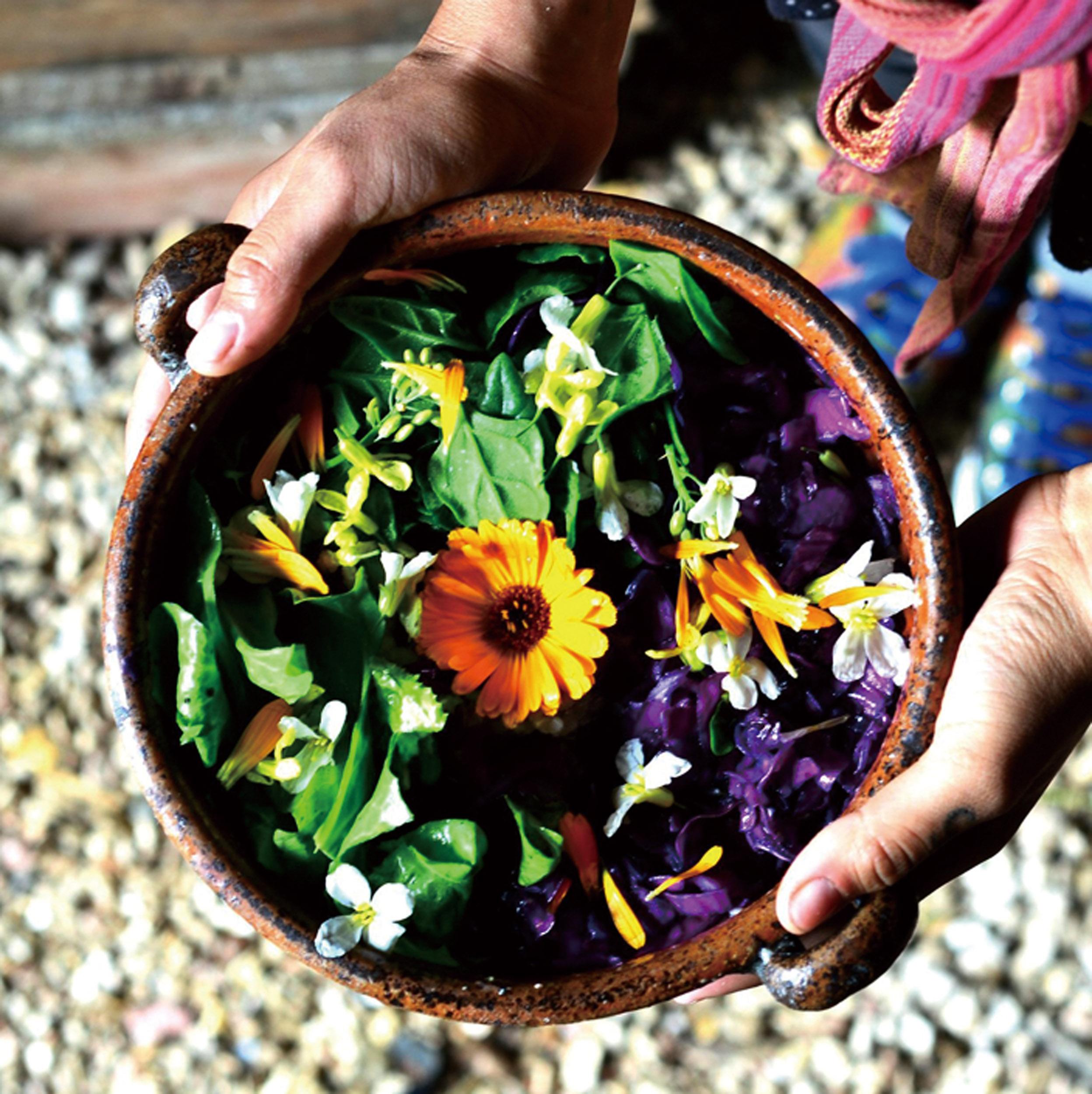 キュッとつかんだ小さな花束♡世界の摘み草インスタグラマー#05 ポルトガル在住Catさん「摘み草の花束を君に」