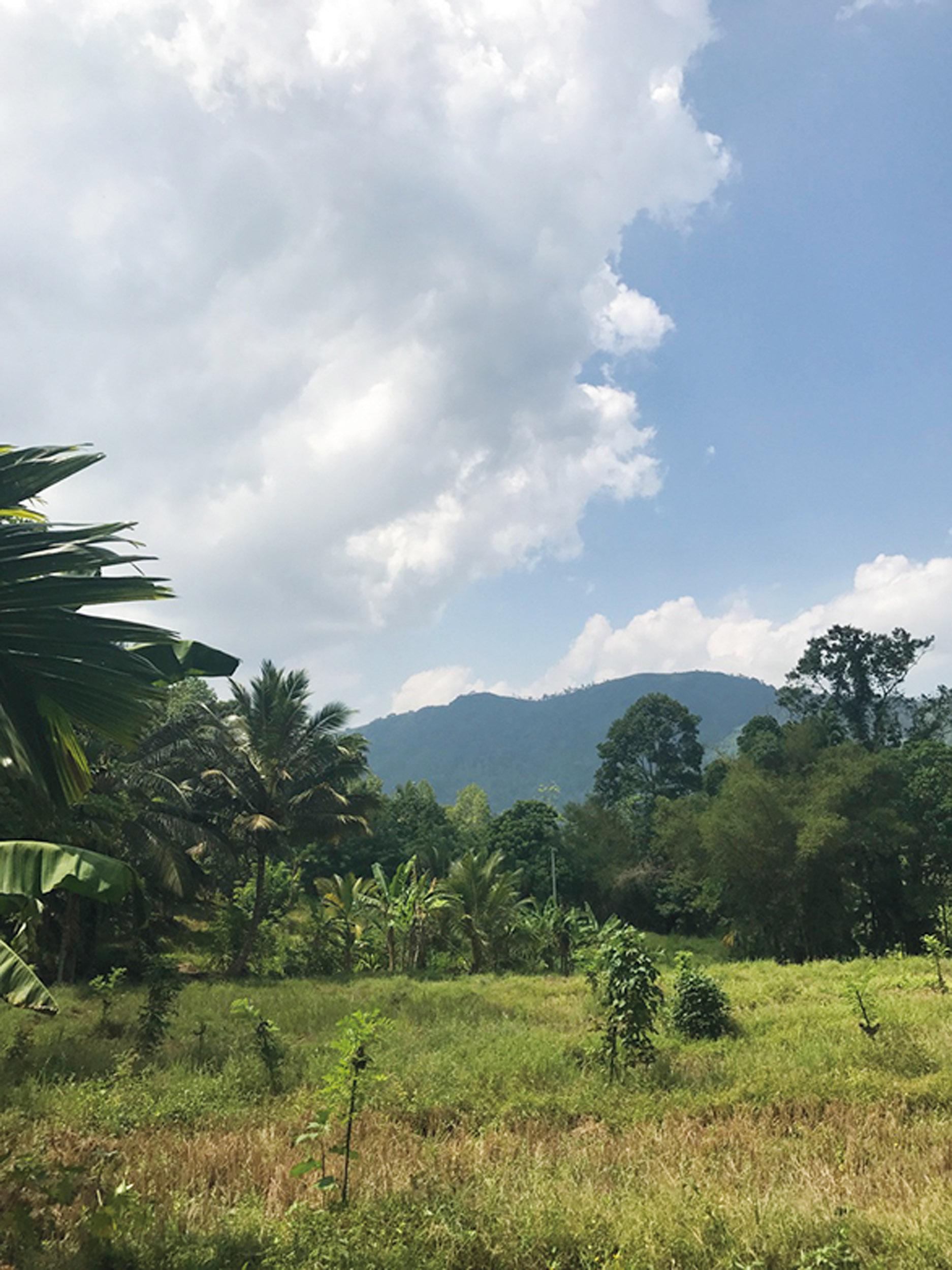新井ミホさんに聞く「夏の美容旅、どこに行く?」。連休ならスリランカ、日帰りなら京都