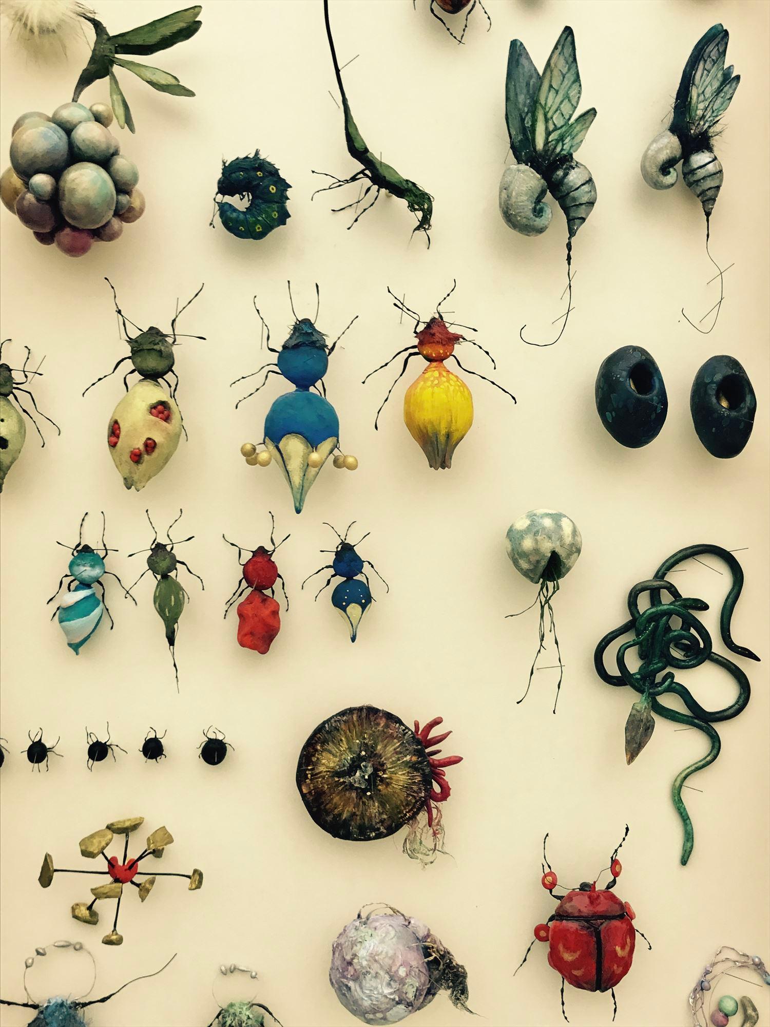 嫉妬や弱虫が虫になったら……？金沢21世紀美術館で、ファンタジックな昆虫採集。アペルト07「川越ゆりえ　弱虫標本」