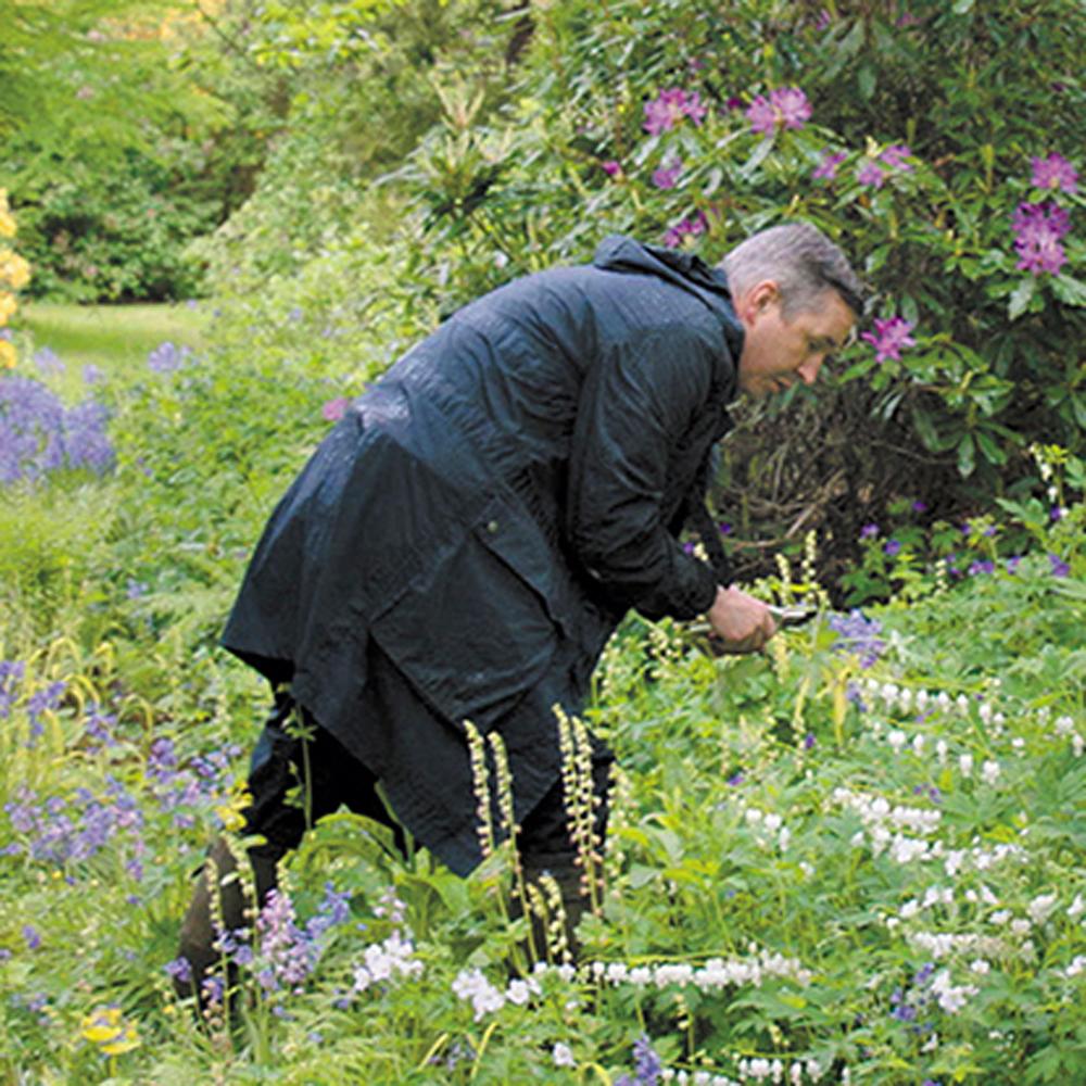 ドリス・ヴァン・ノッテンの私生活を公開!孤高のファッションデザイナーが生み出す究極の美の秘訣とは?