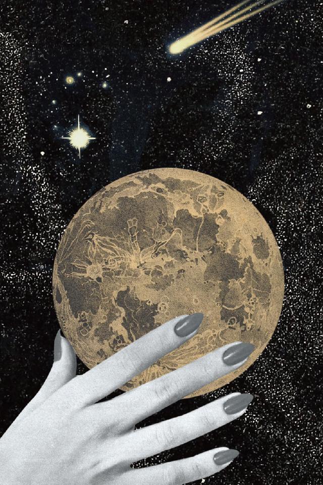 ジョン(犬) タロット占い GINZA