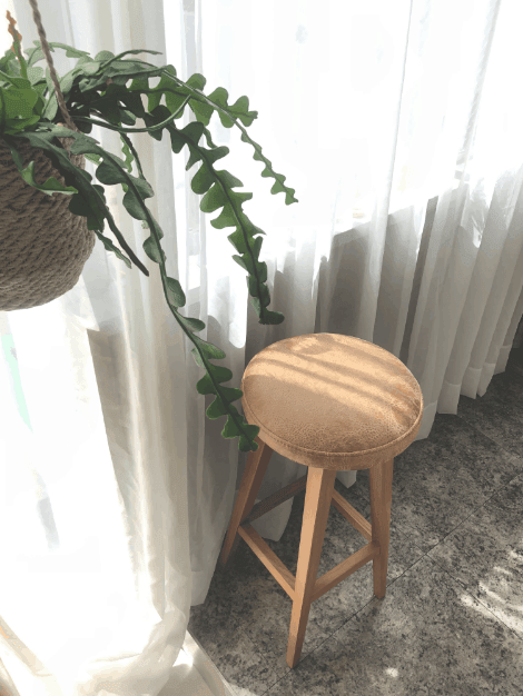 私と部屋 vol.17 ユニークな色使いもお気に入り。植物いっぱいの自分だけの城 ー青柳芽衣さん - Slide:3