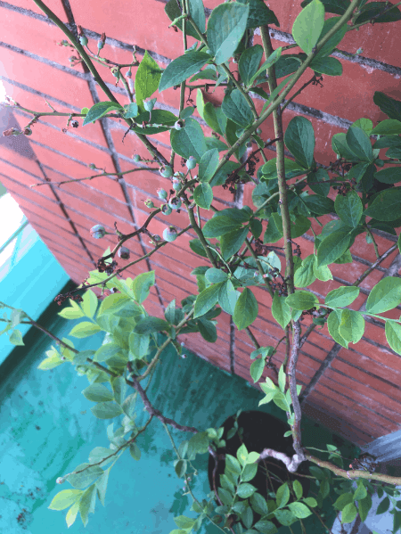 私と部屋 - Slide:8