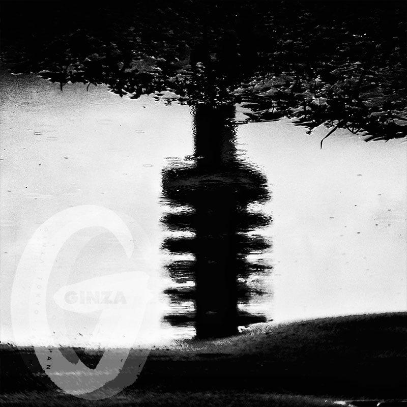 コーネリアスアートワーク