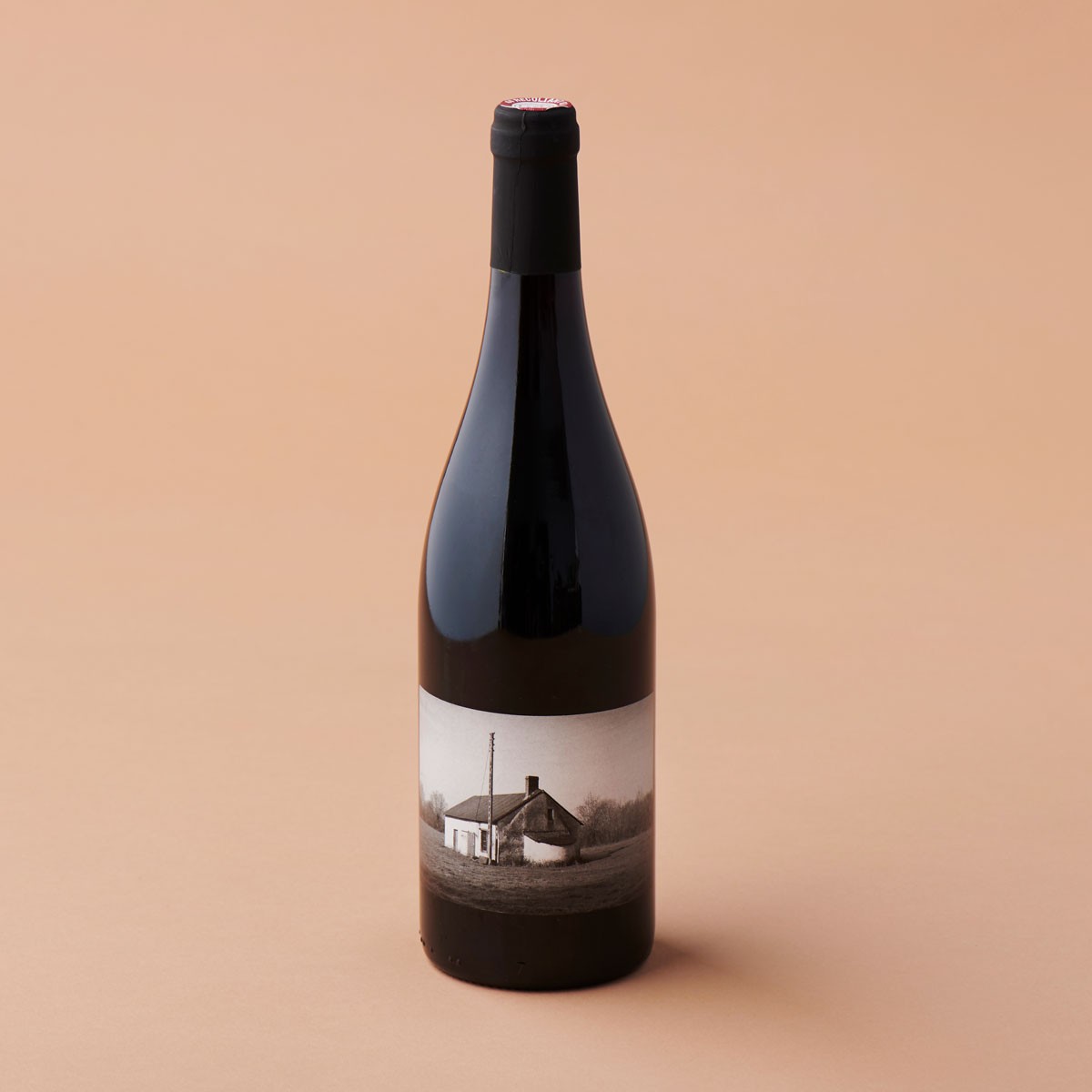 骨太な味わいの「ガメイ2018 」 - Slide:6