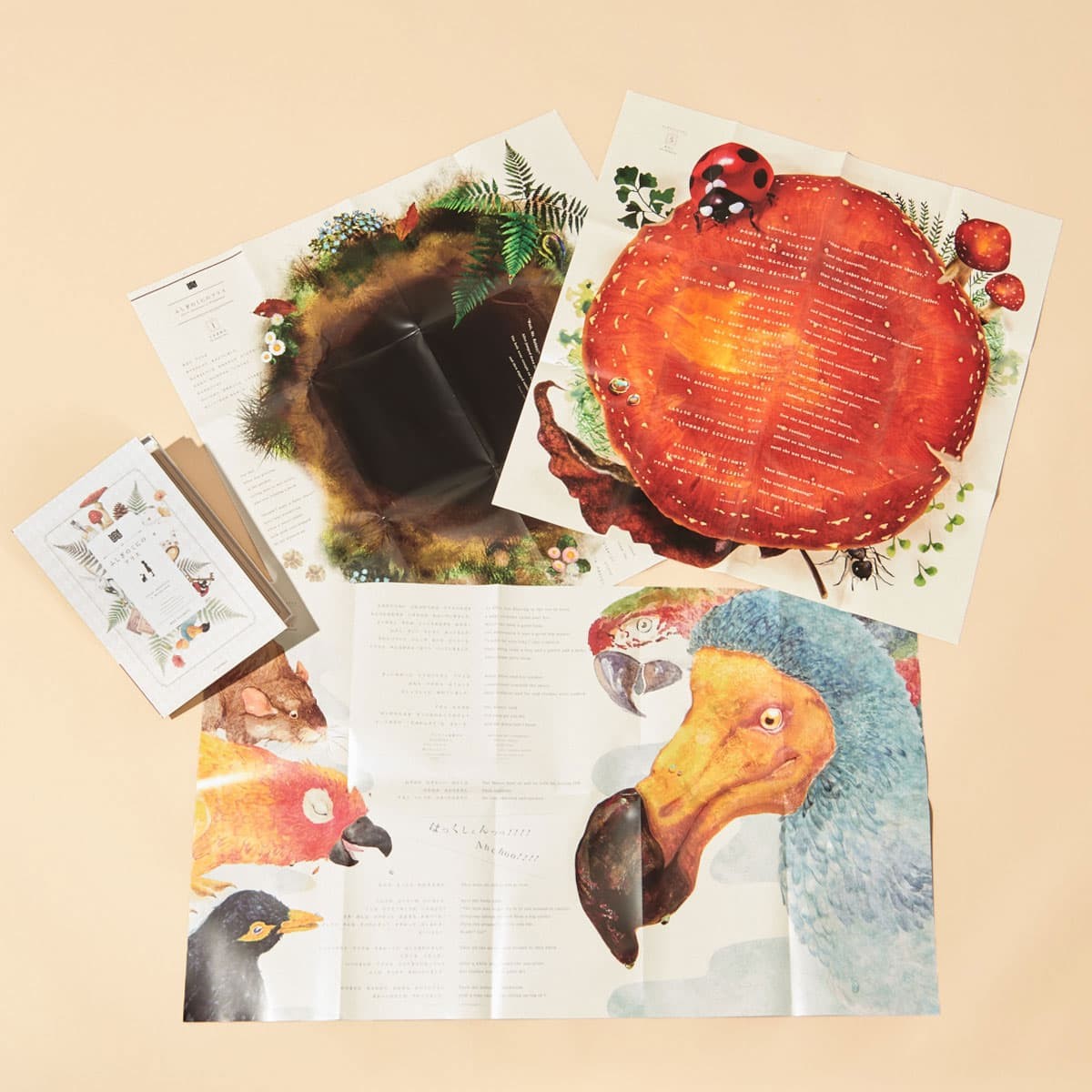 おしゃれサンタクロースがやってきた!とっておき冬ギフト100【子ども編】 - Slide:5