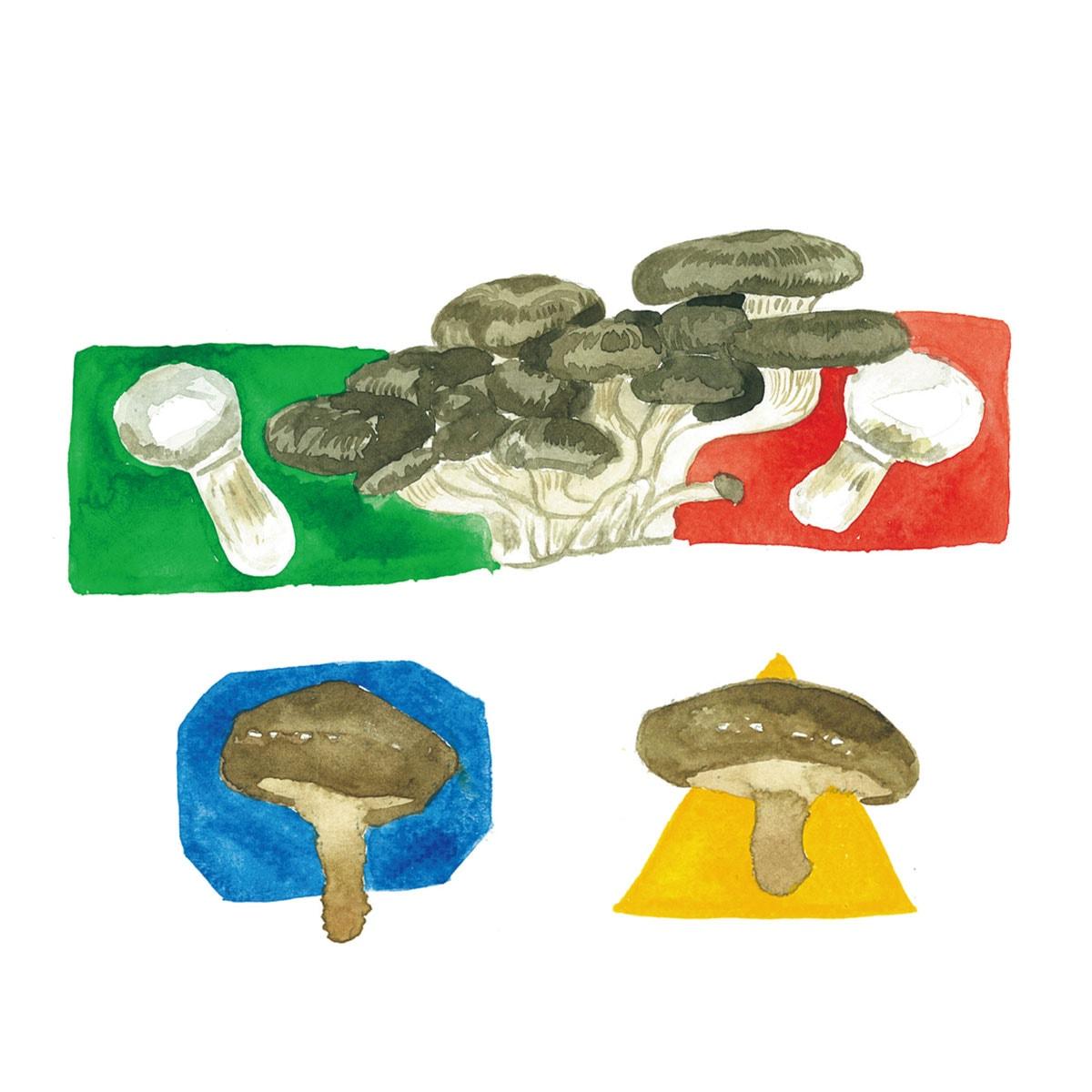 きのこのイラスト