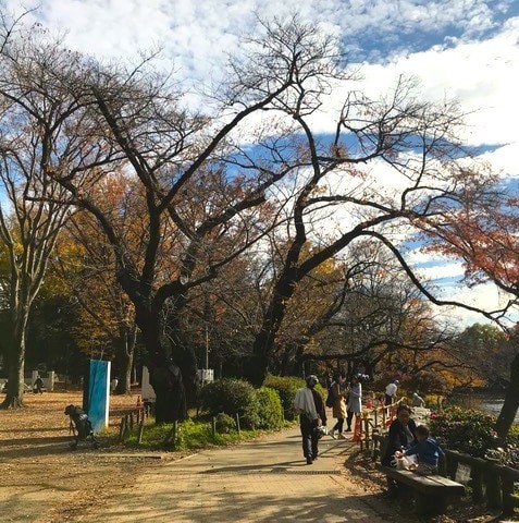 井の頭公園 - Slide:1