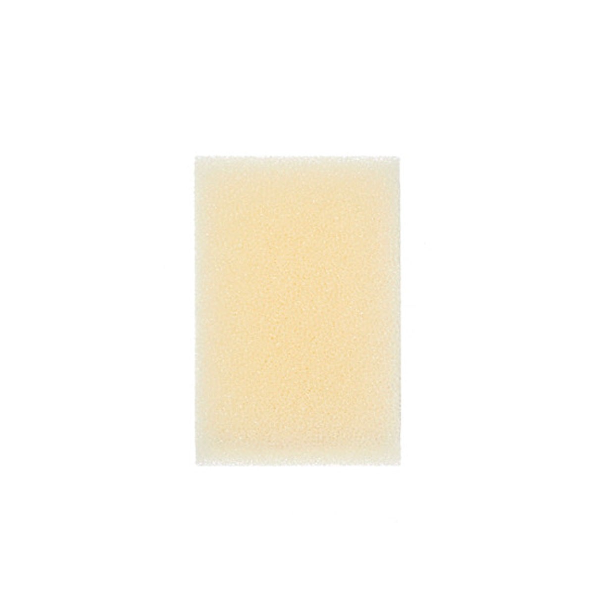 スポンジ - Slide:10