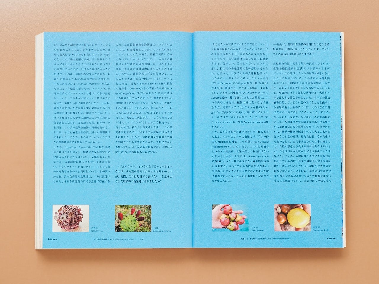 ZINE Magazine isn’t dead - Slide:3