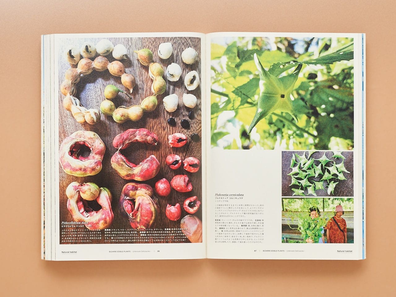 ZINE Magazine isn’t dead - Slide:2