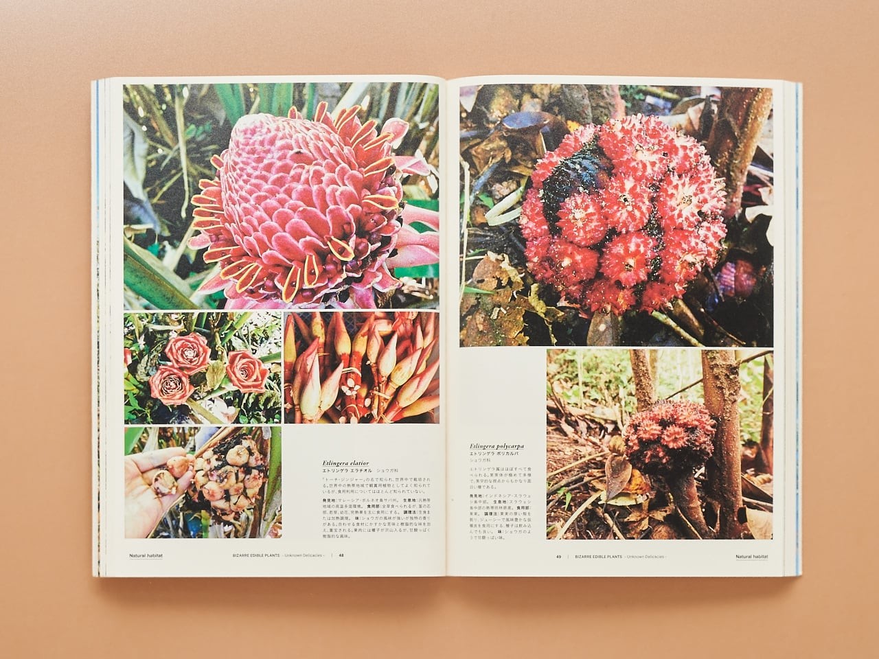 ZINE Magazine isn’t dead - Slide:1