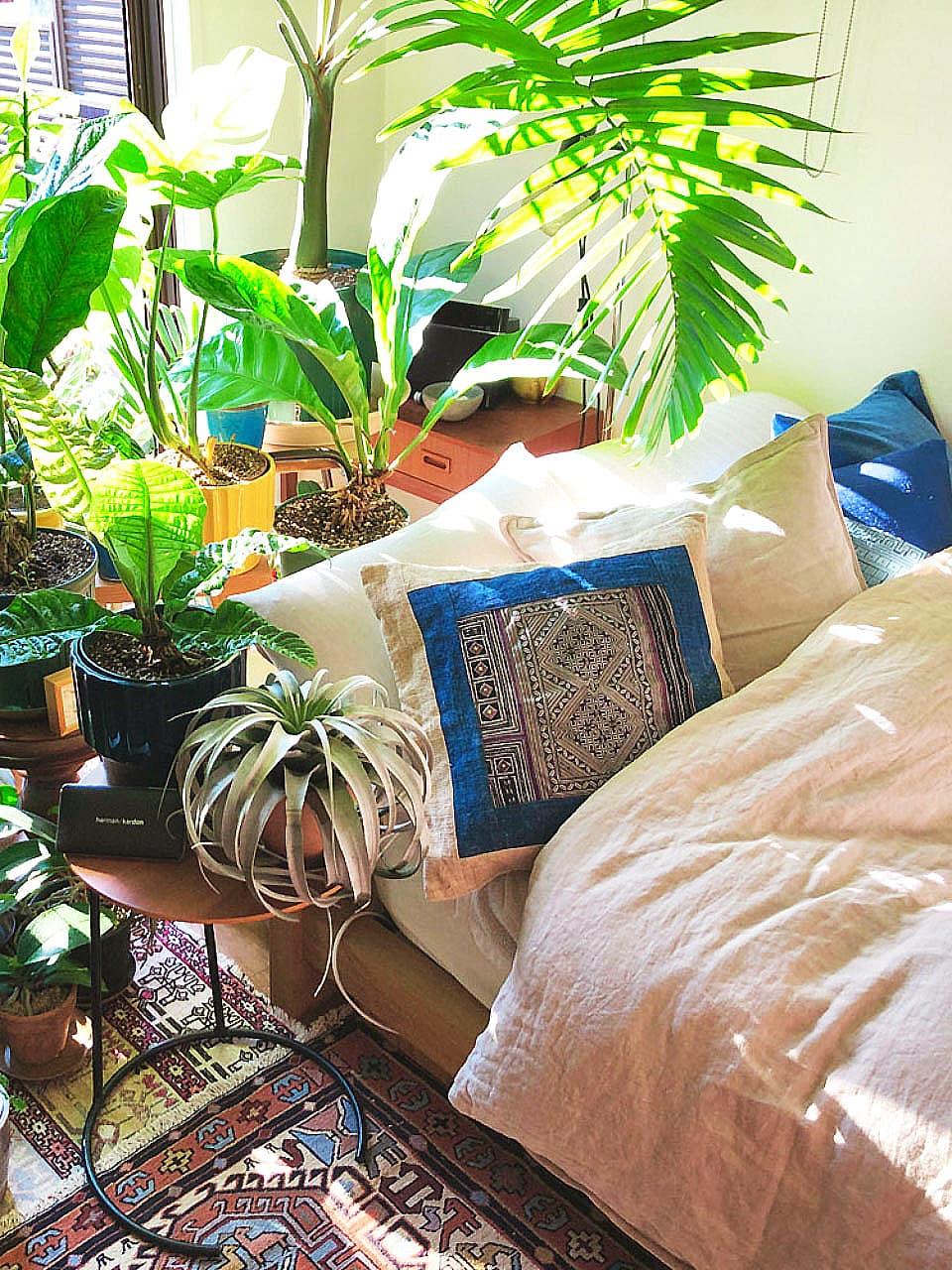 私と部屋 vol.38 まるで自分だけの植物園。選りすぐりのヴィンテージ家具とテキスタイルを愛する、癒しの空間 ー 杉山耕平さん