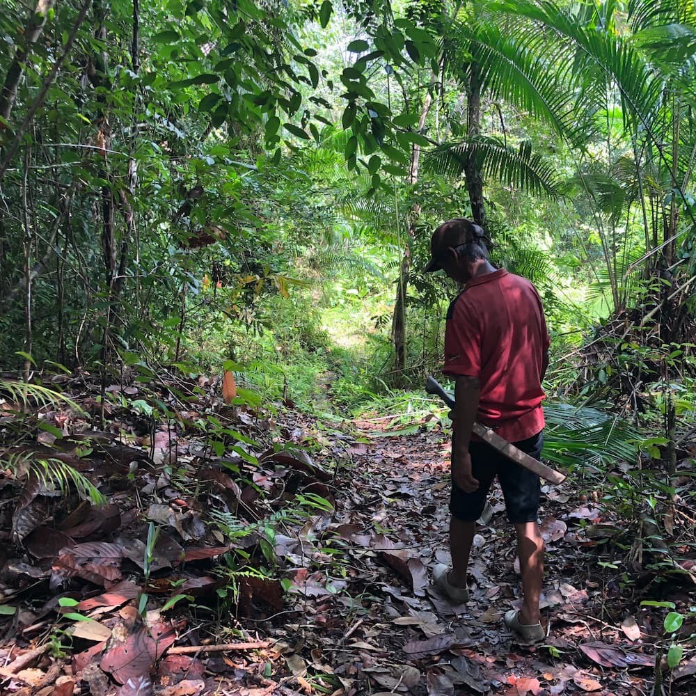 ジャングル - Slide:5