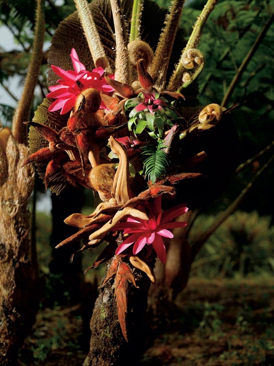 石垣島での生け花作品 - Slide:1