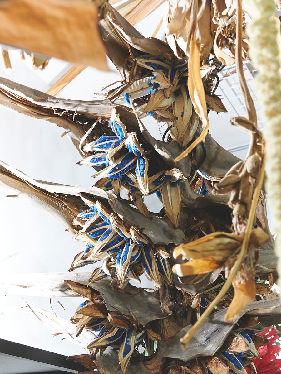 東京の花屋 表参道「logi」 - Slide:4