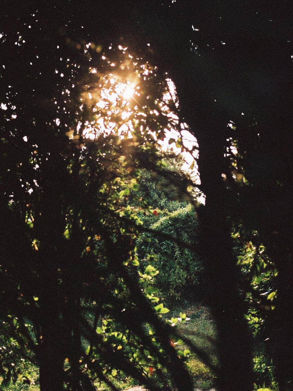 ノバレーゼ|モノローグ