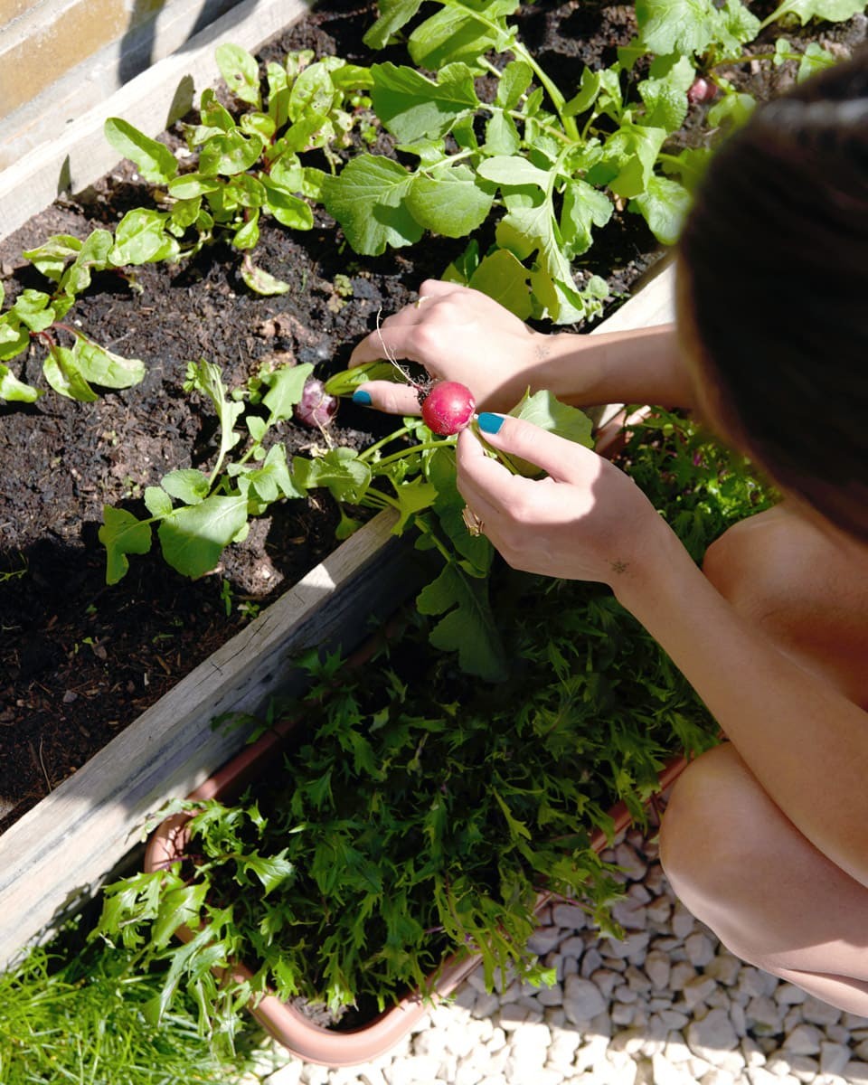 リディアさんのお庭の過ごし方 - Slide:2