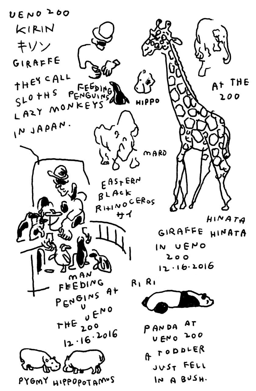 JASON POLAN|ジェーソン・ポーラン|デザイン|イラスト