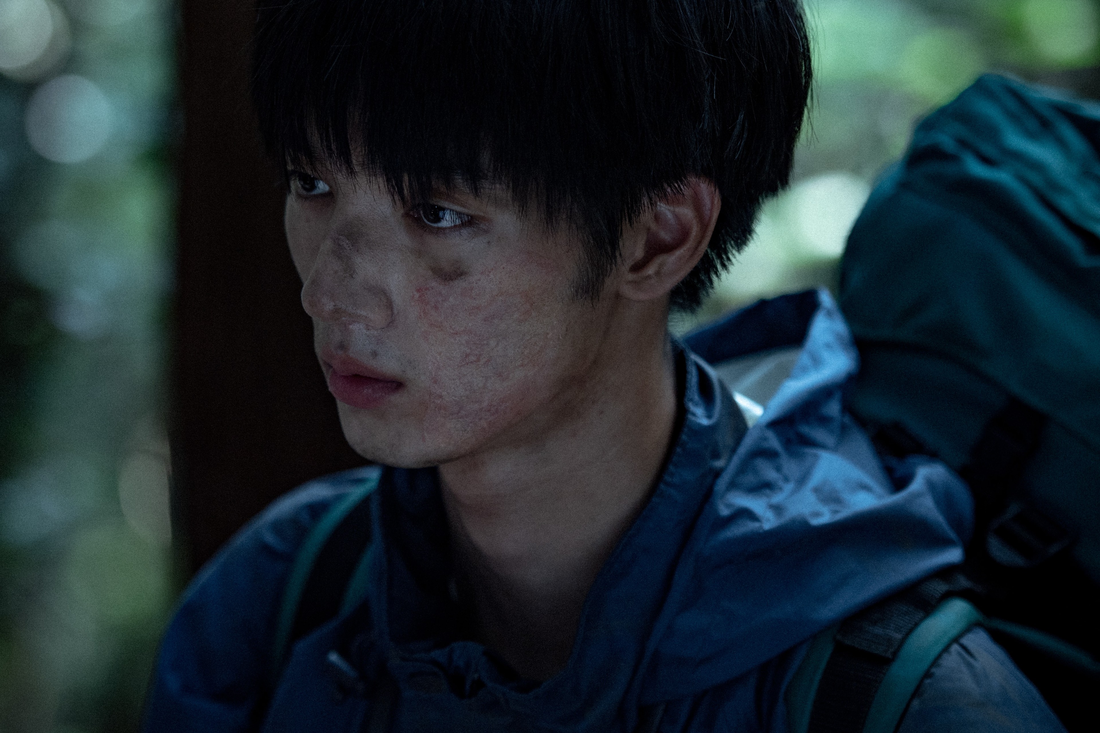 青い、森|劇中写真 - Slide:1