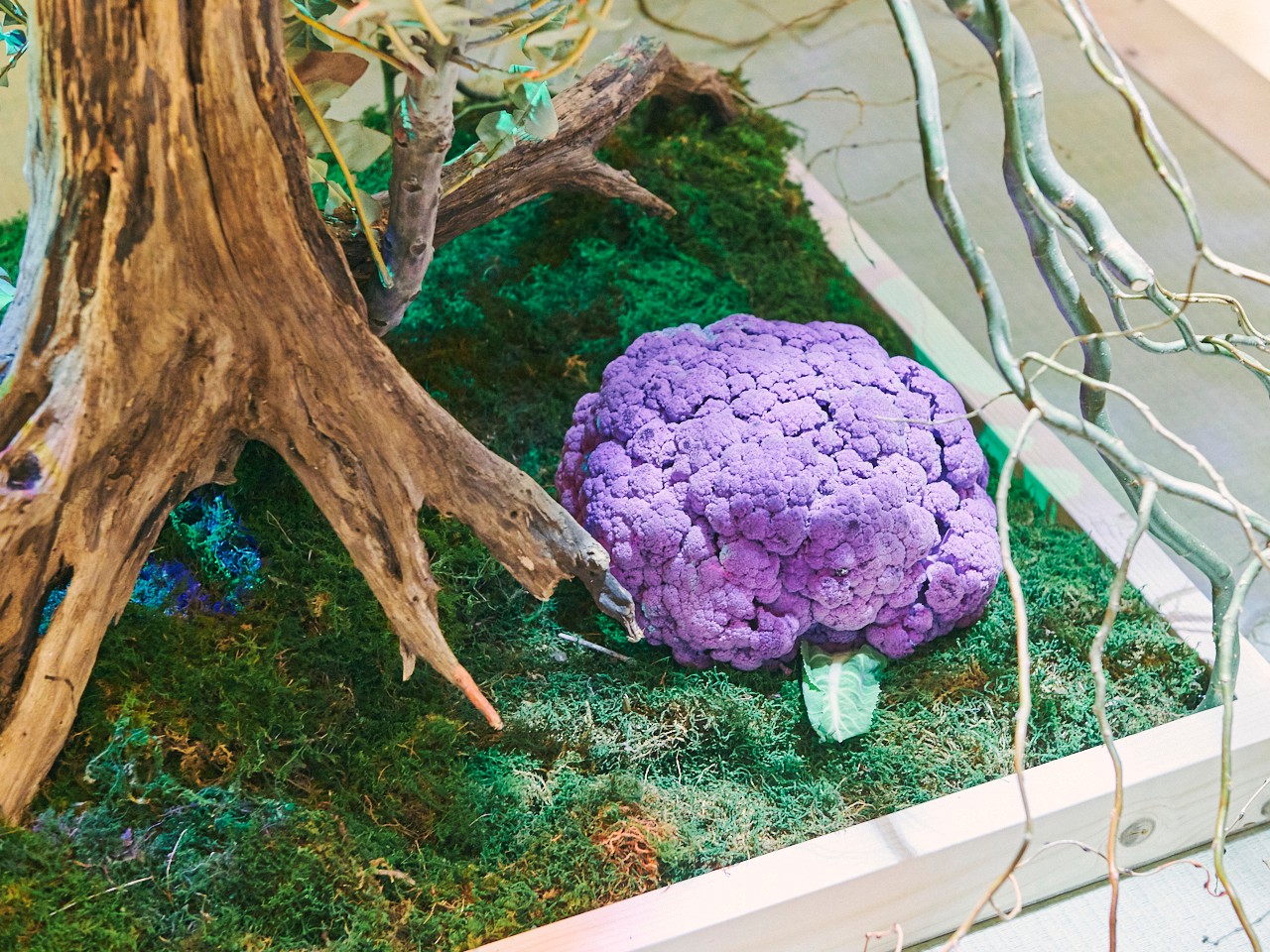 森星 ポップアップ 渋谷 - Slide:3