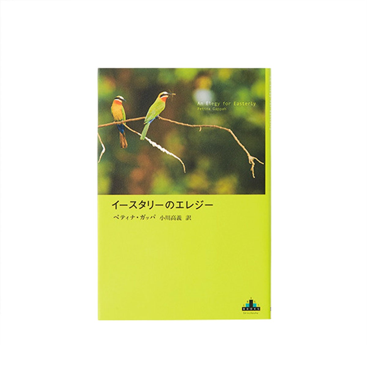 イースタリーのエレジー - Slide:8