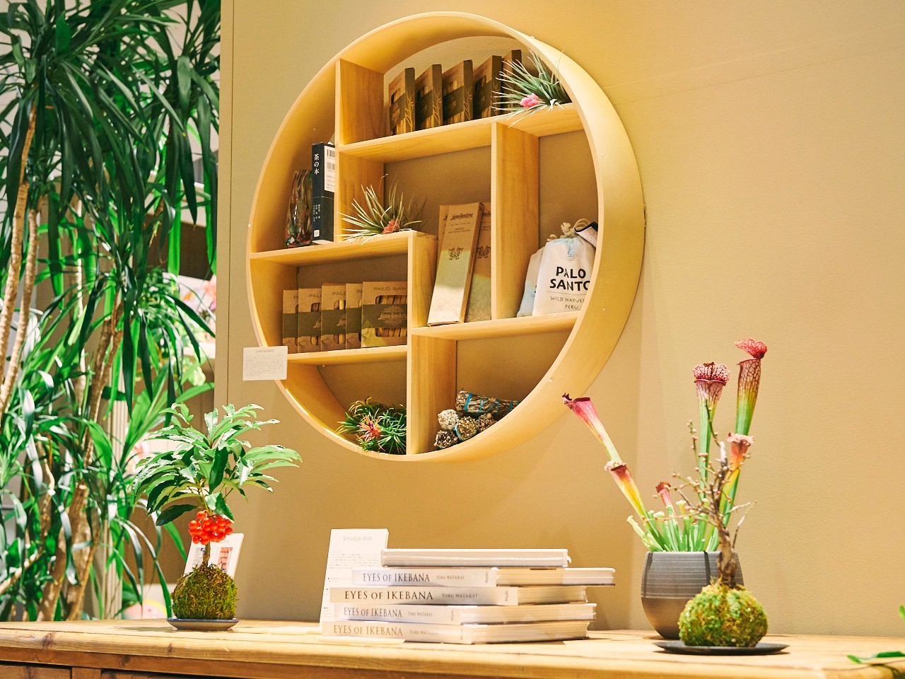 森星 ポップアップ 渋谷 - Slide:4