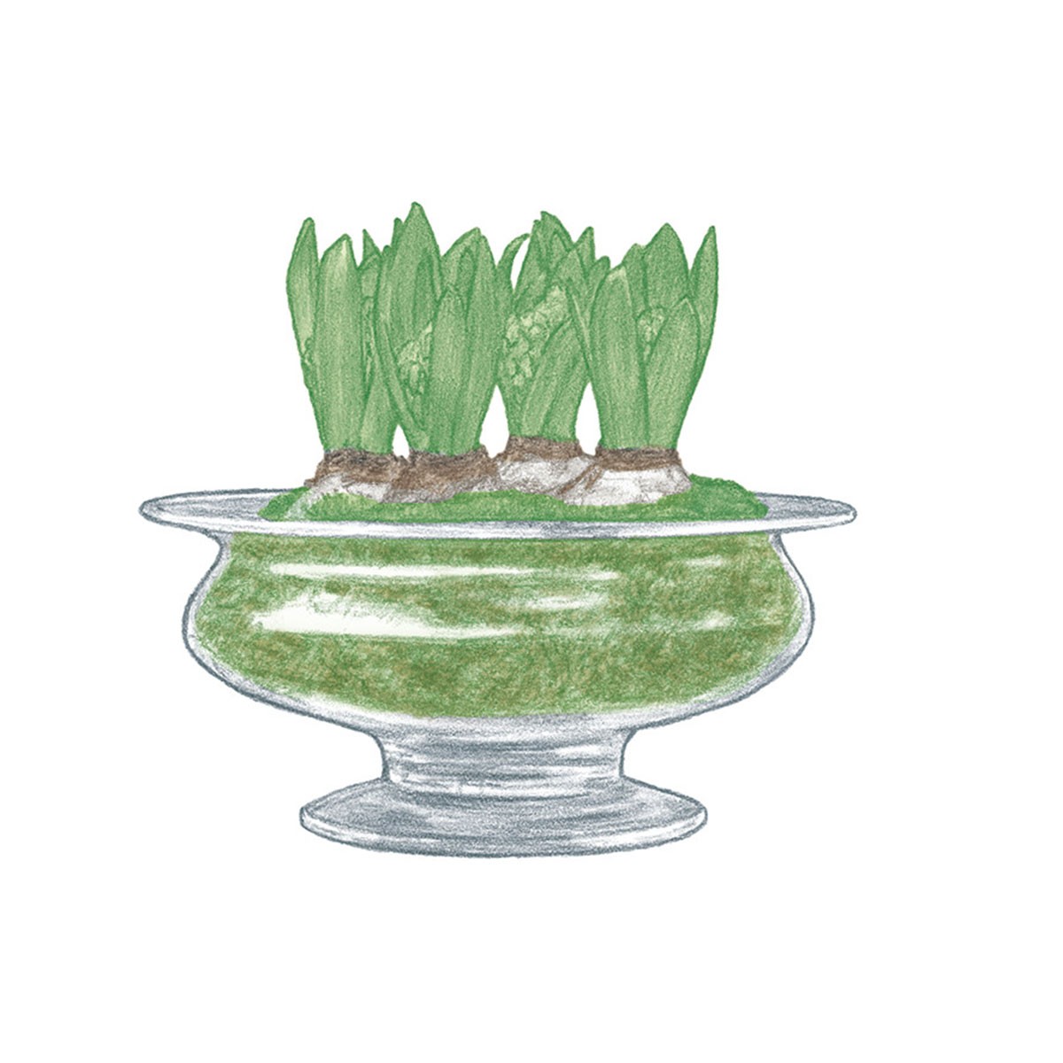 フラワーボウル - Slide:3