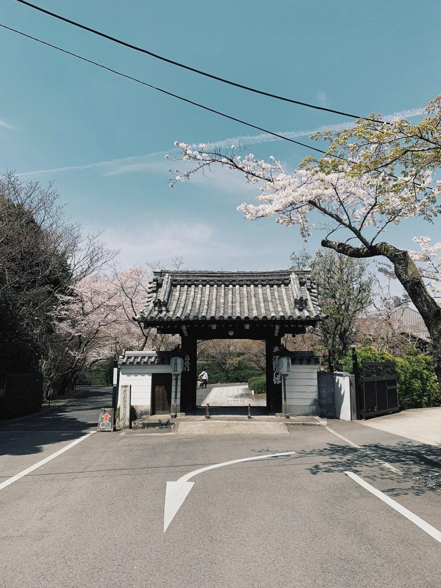 ライターYの京都通信 チャリで回って見つけた素敵なモノVol.6〈青蓮院門跡と将軍塚青龍殿〉 - Slide:1
