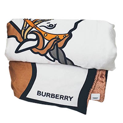 リモート会議のルックどうするか問題! 〈BURBERRY〉のブランケット - Slide:2