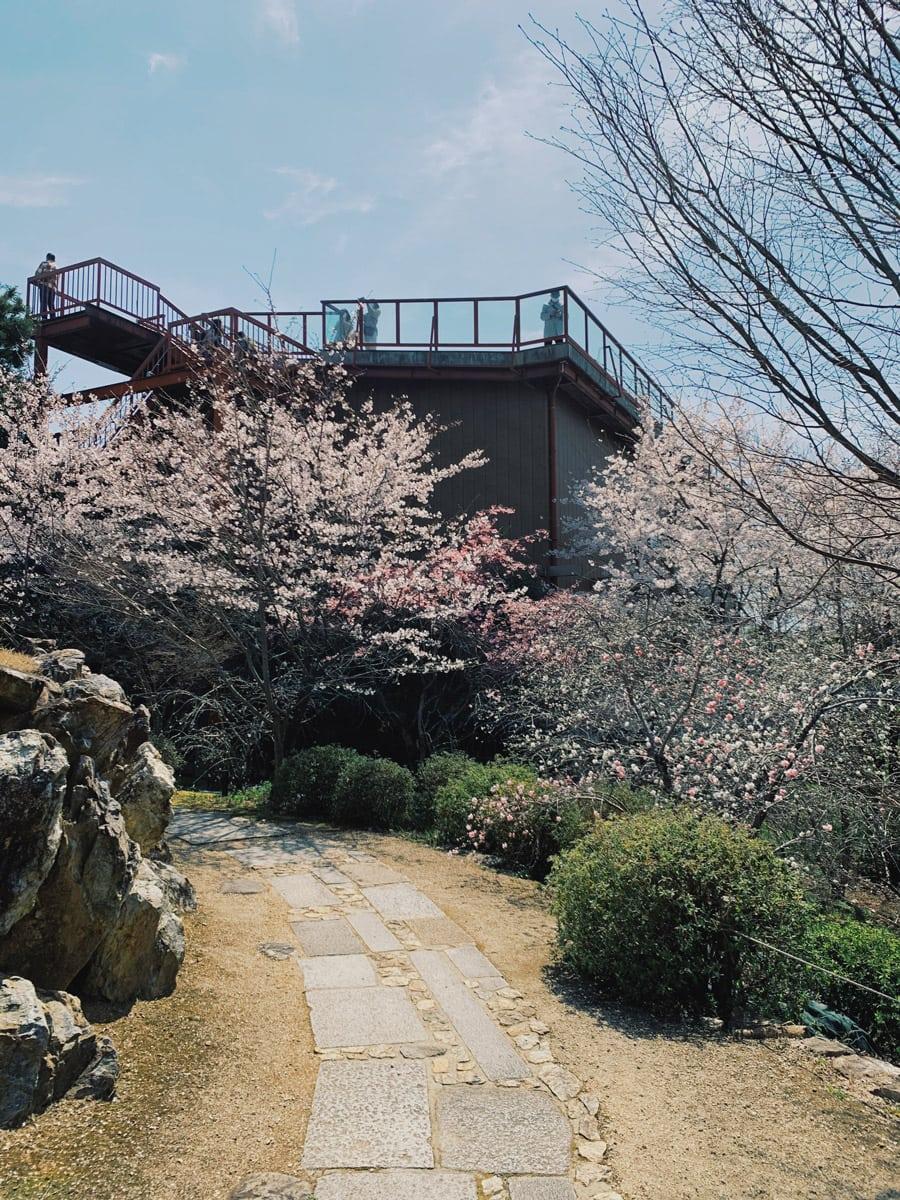 ライターYの京都通信 チャリで回って見つけた素敵なモノVol.6〈青蓮院門跡と将軍塚青龍殿〉 - Slide:5