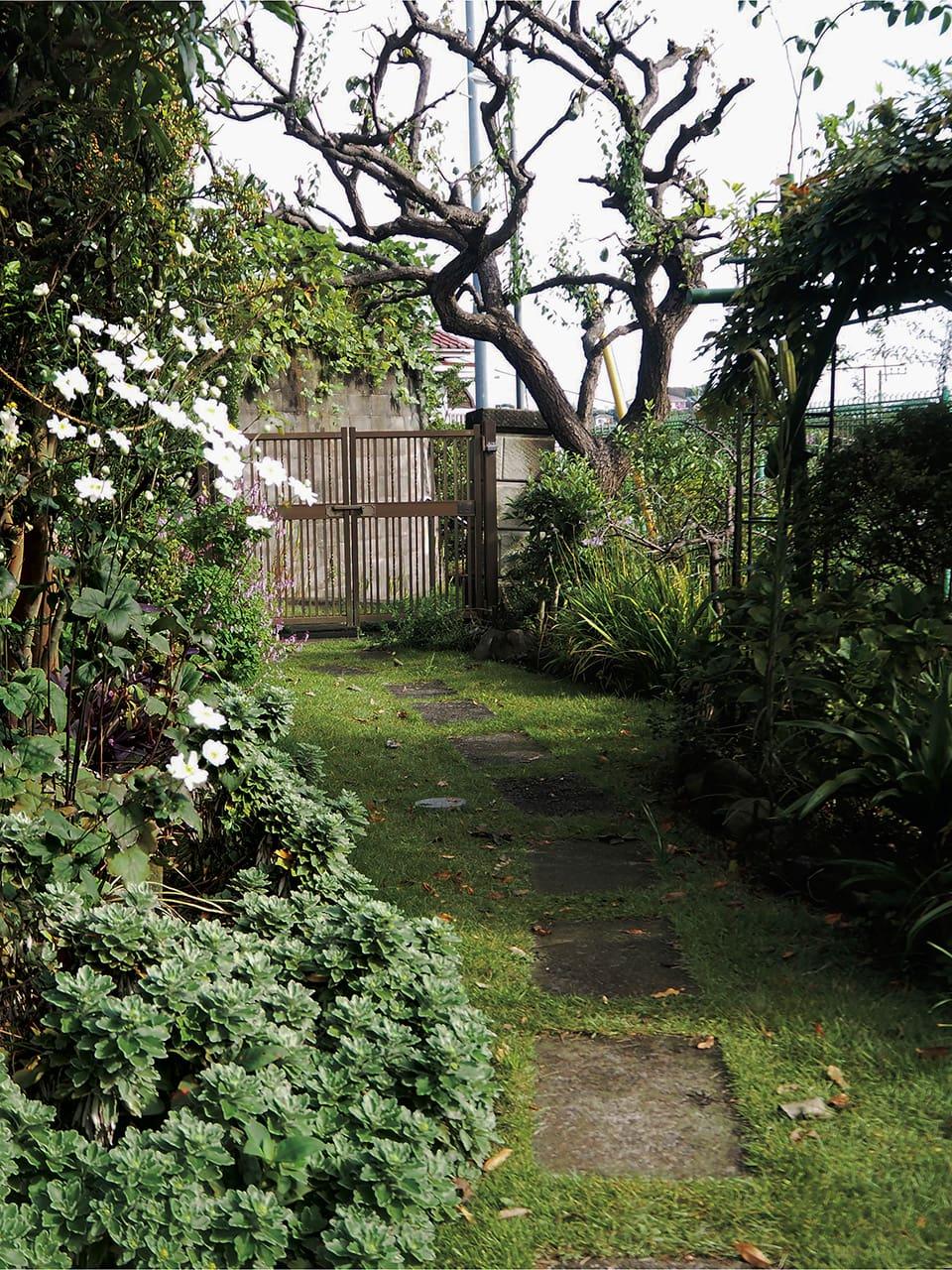 山谷佑介 写真家 横須賀 実家