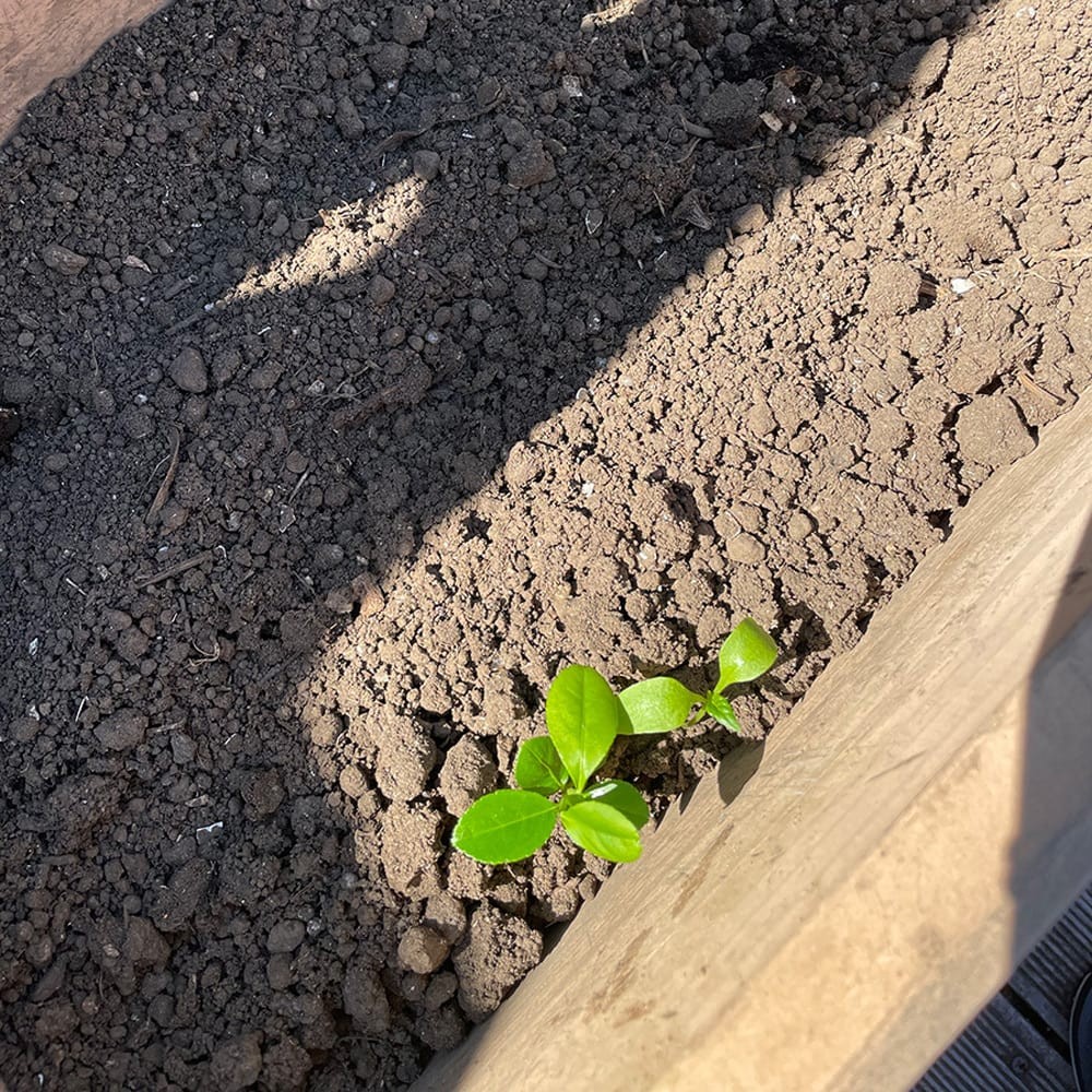 サステイナブルライフへの道!|コンポスト - Slide:2