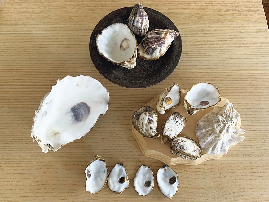 牡蠣の殻 画像 - Slide:1