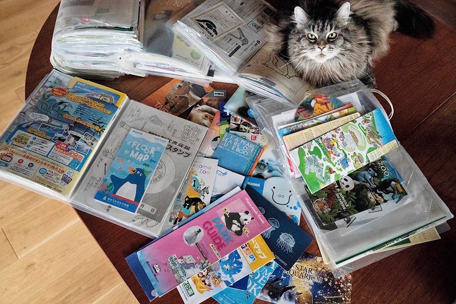 動物園 水族館 パンフレット 画像 - Slide:3