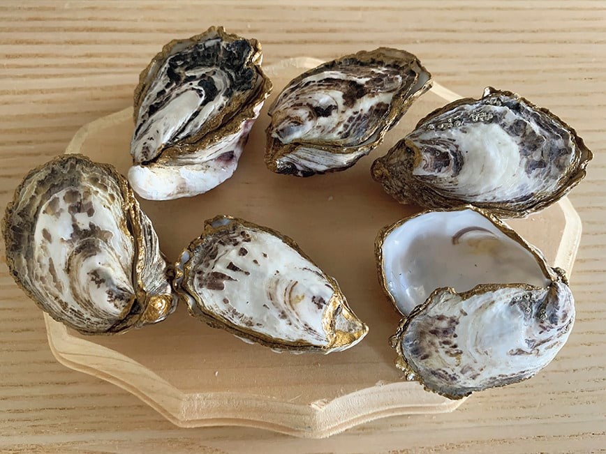 牡蠣の殻 画像 - Slide:2