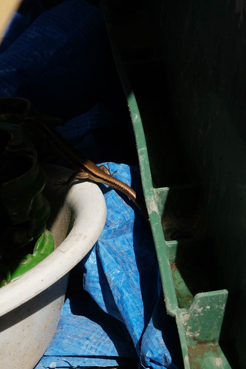 写真家・山谷佑介の個展『KAIKOO』が開催。横須賀の古民家改築を撮影した写真作品などが並ぶ - Slide:3