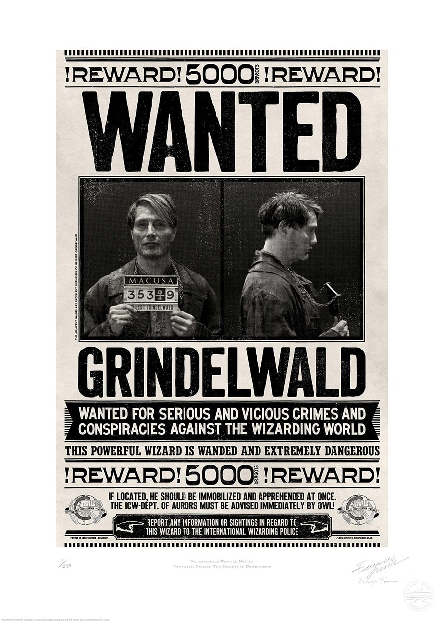 『ファンタスティック・ビーストとダンブルドアの秘密』 ミナリマ インタビュー - Slide:3