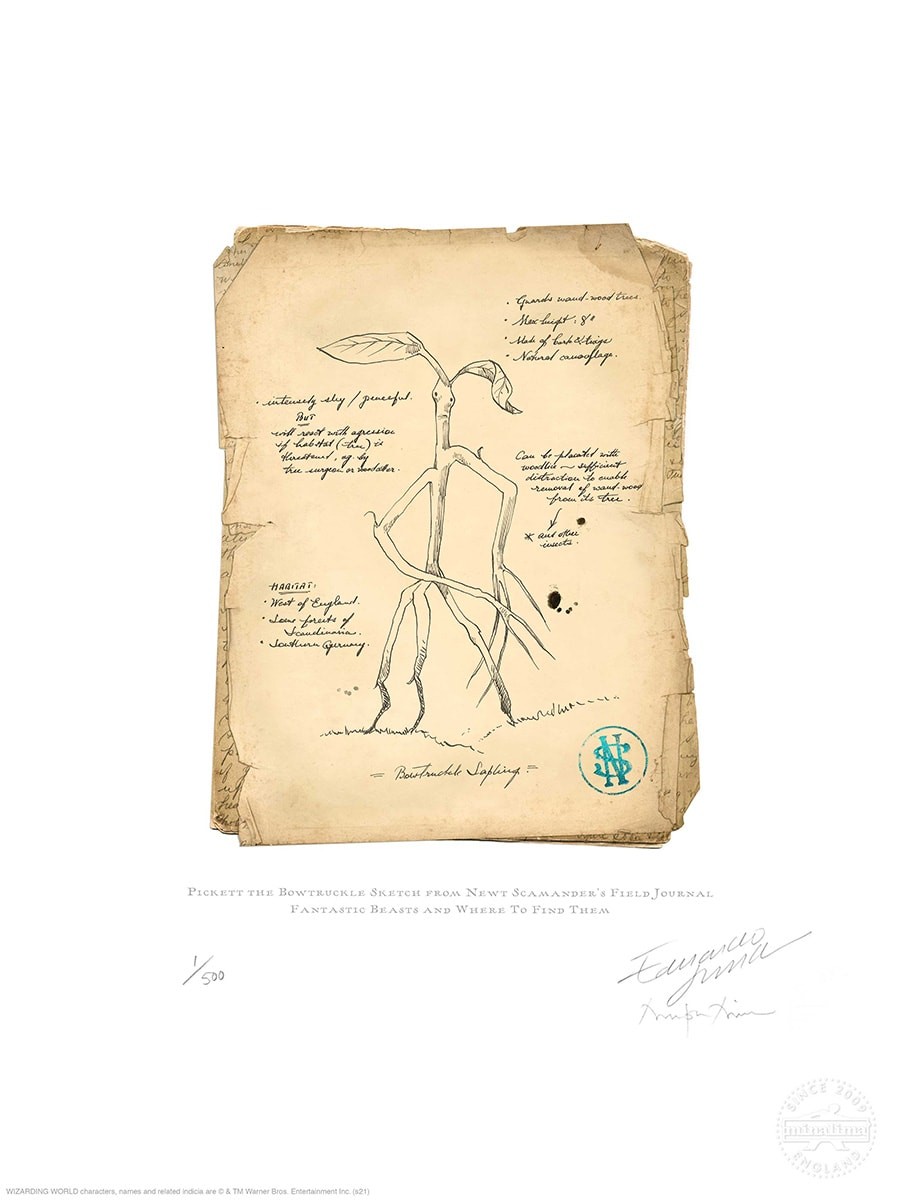 『ファンタスティック・ビーストとダンブルドアの秘密』 ミナリマ インタビュー - Slide:2