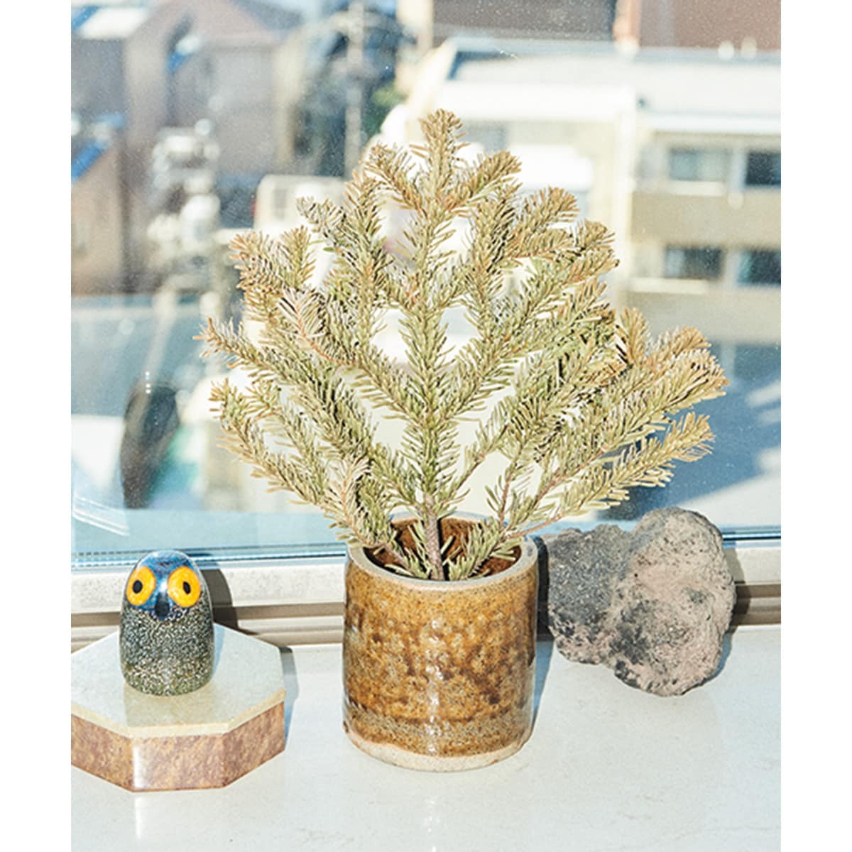 部屋 観葉植物 木本梨絵/クリエイティブディレクター - Slide:4