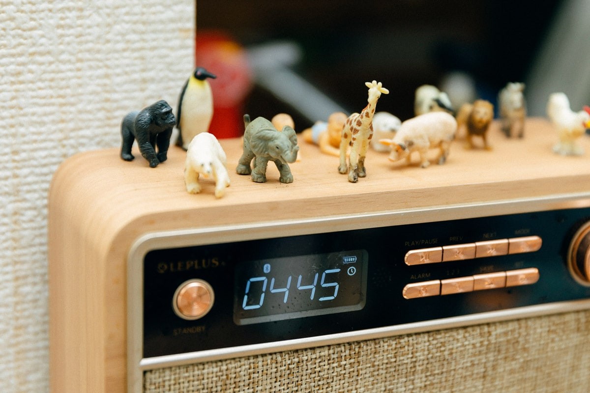 枝優花さん私物のフィギュア - Slide:3