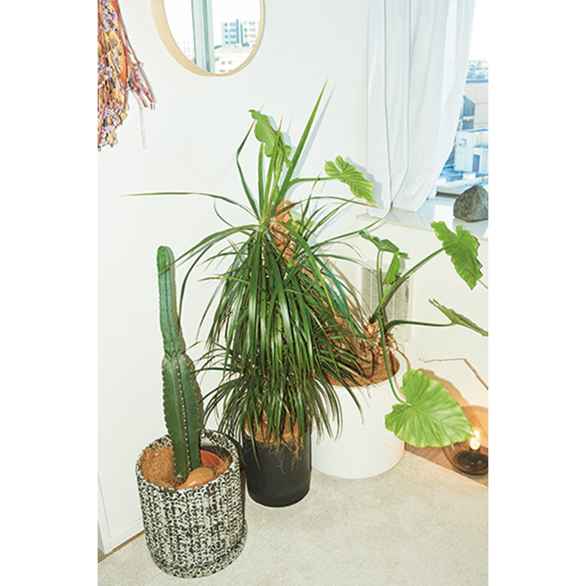 部屋 観葉植物 木本梨絵/クリエイティブディレクター - Slide:3