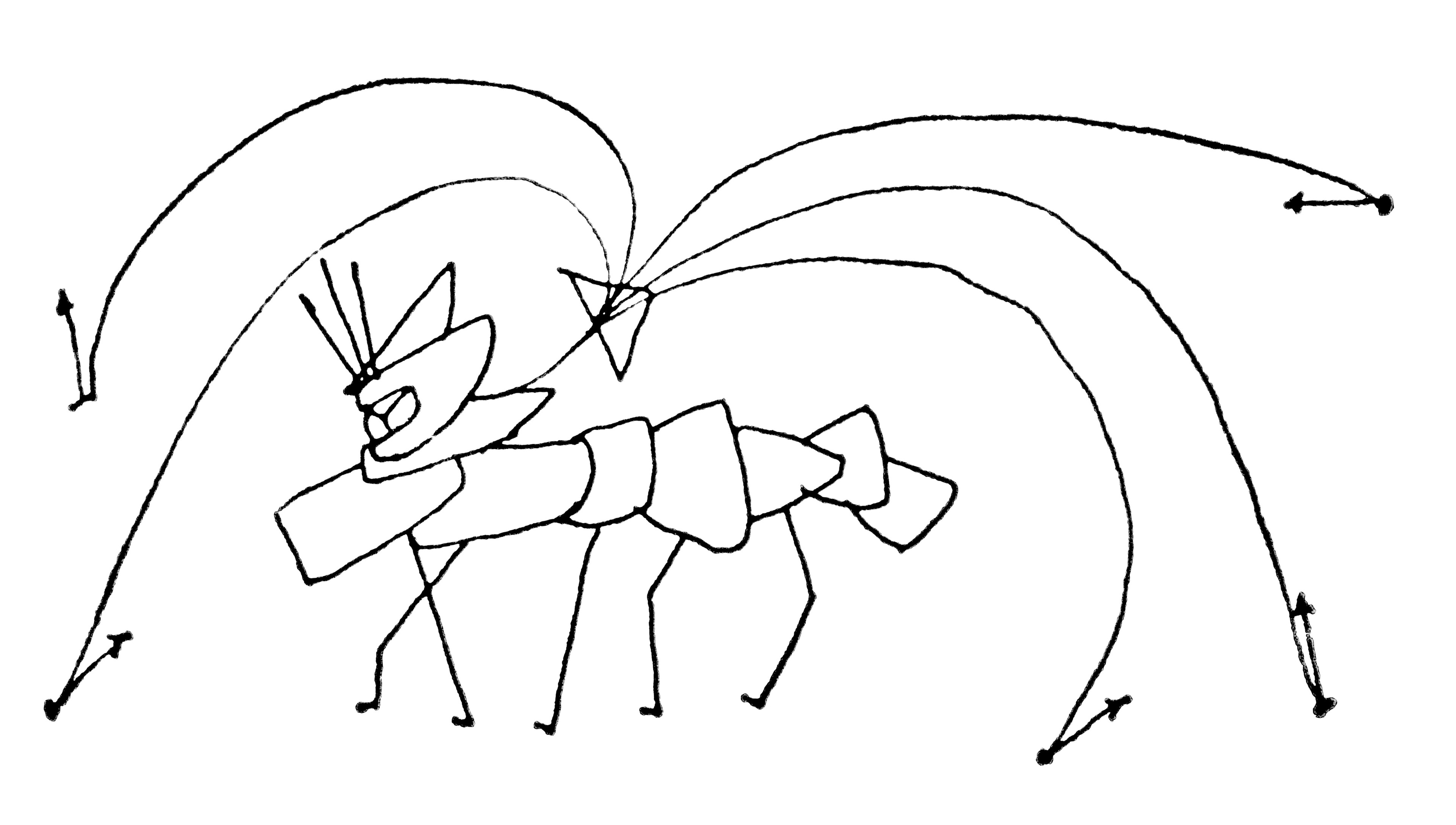 『吉阪隆正展 ひげから地球へ、パノラみる』 - Slide:3