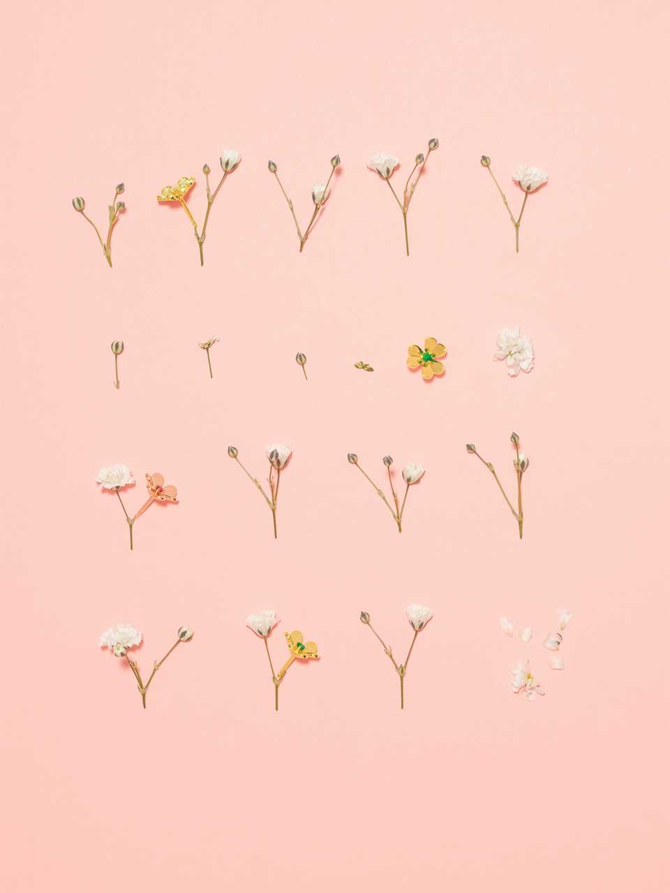 ヴァン クリーフ&アーペル