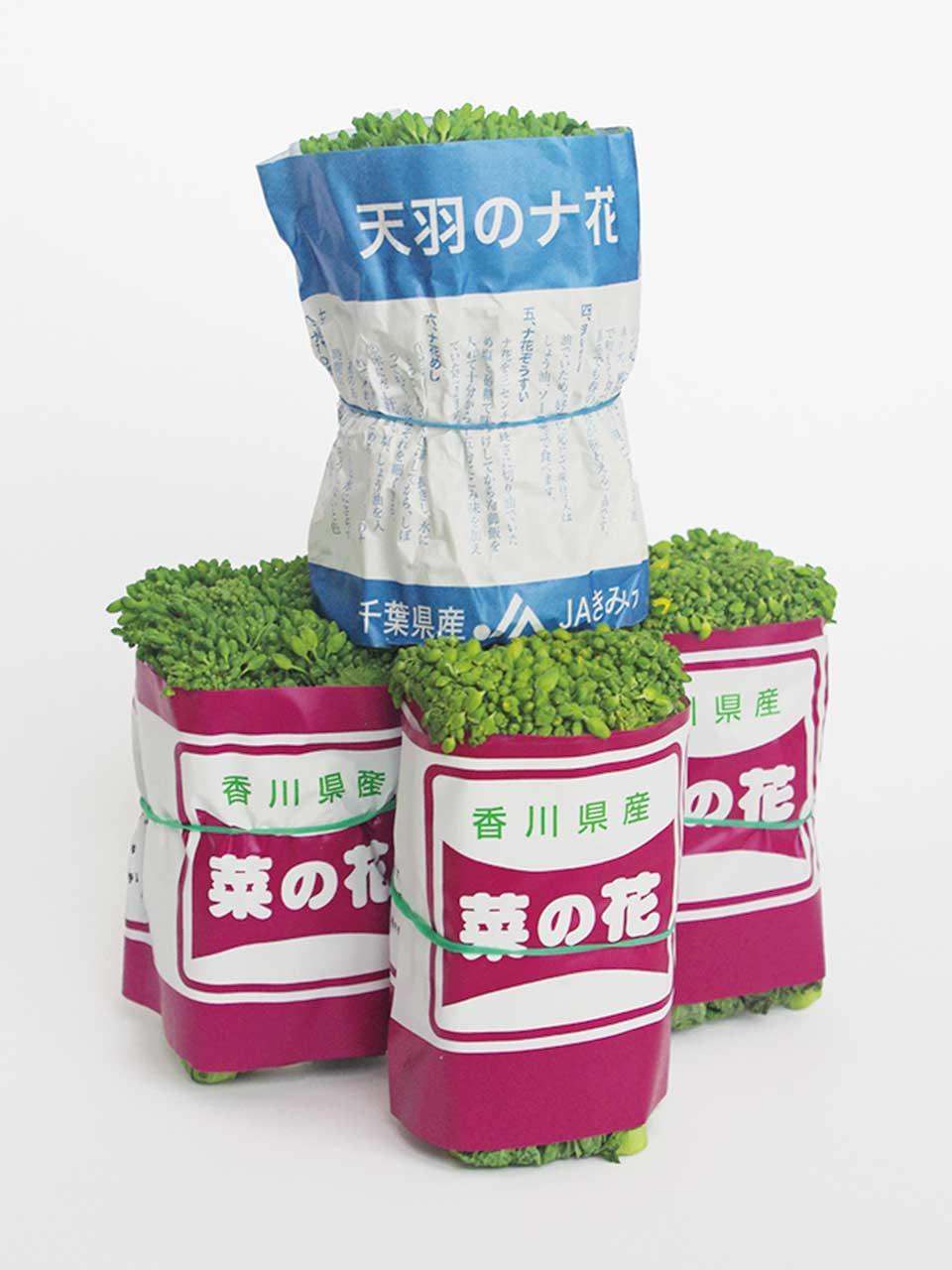 菜の花のパッケージ