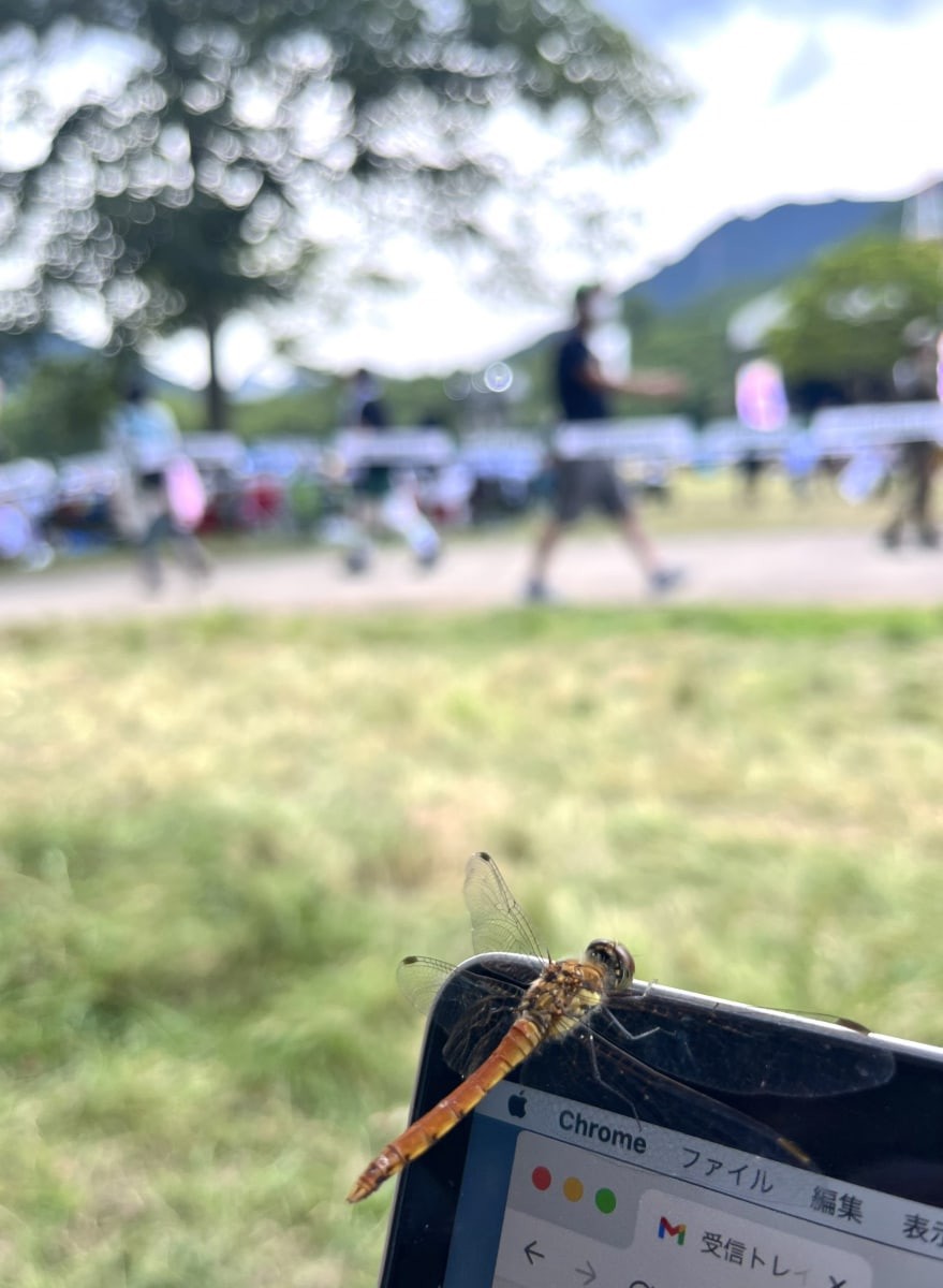 フジロック・フェスティバルでスタイルハント! vol.4 ヘルシー肌見せ&レトロ三つ編み復活か - Slide:1